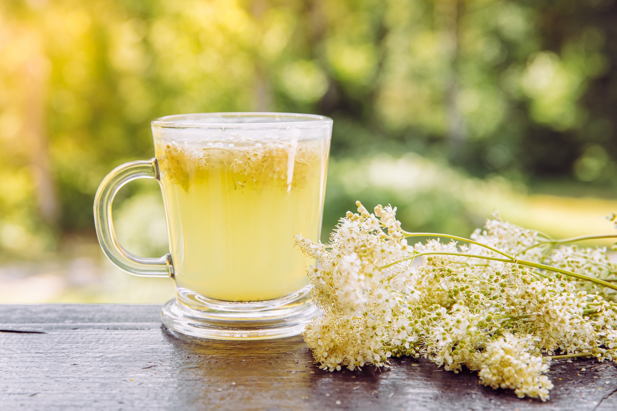 Bio Mädesüßkraut geschnitten – naturbelassenes Kräuterprodukt von mynatura 100g