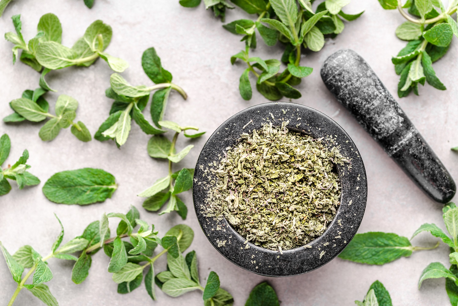 Bio Pfefferminzblätter getrocknet 0,1Kg – intensives Minzaroma für Tee & Küche | Mynatura