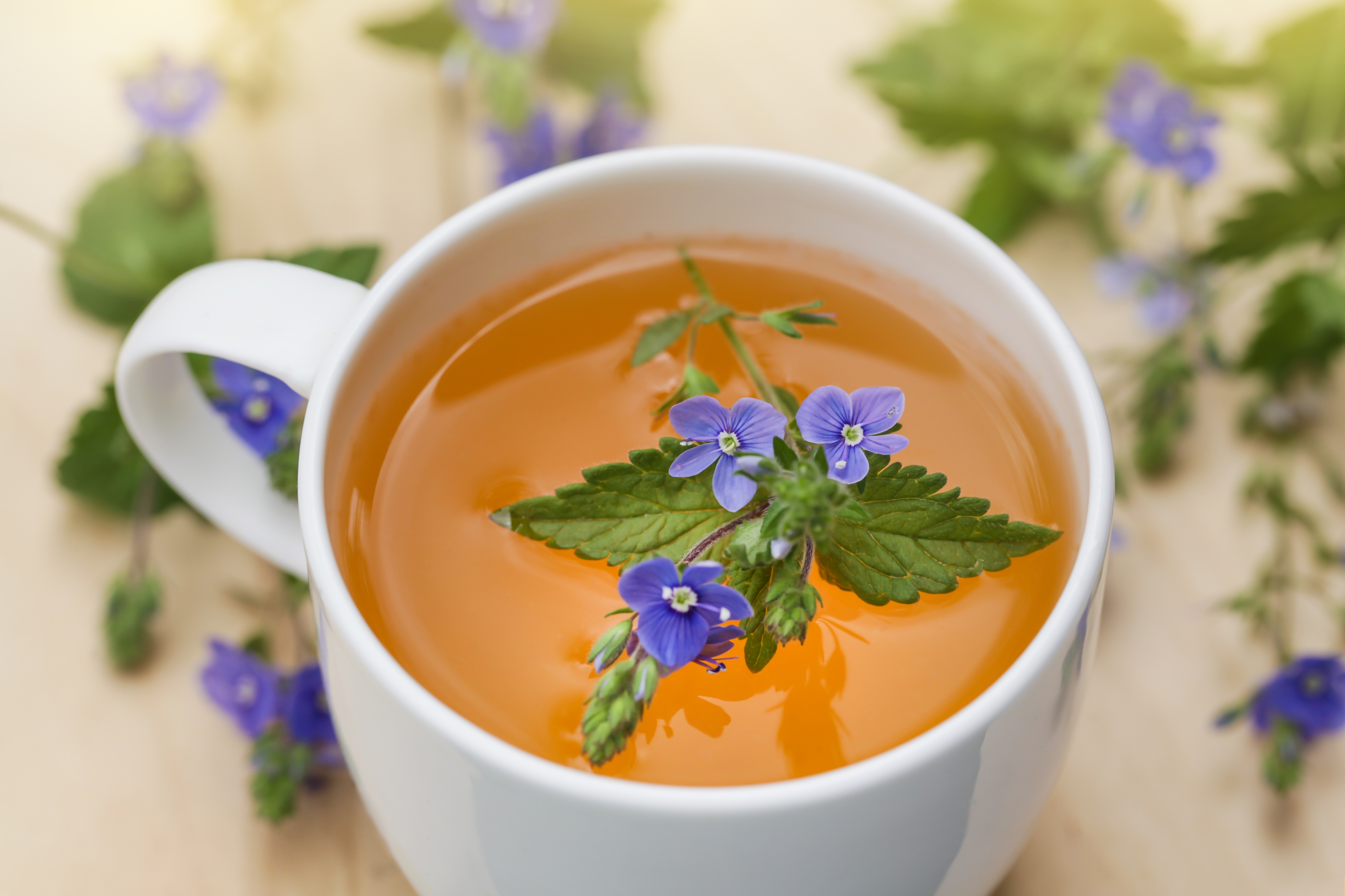 Mynatura Ehrenpreiskraut, Bio, getrocknet und geschnitten 500g