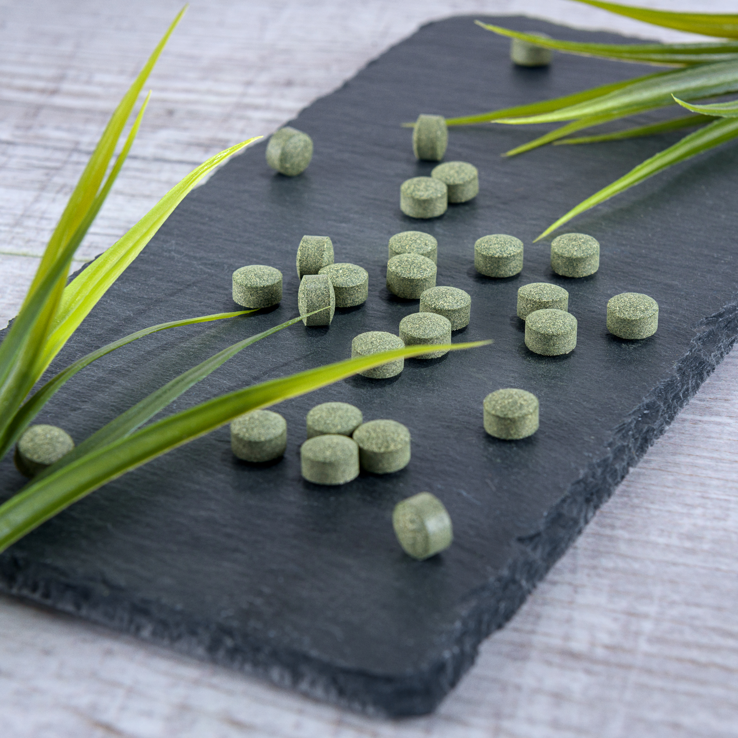 Mynatura Bio Spirulina Chlorella Gerstengras MIX 0,25Kg Mynatura Bio Spirulina Chlorella Gerstengras MIX 0,25Kg