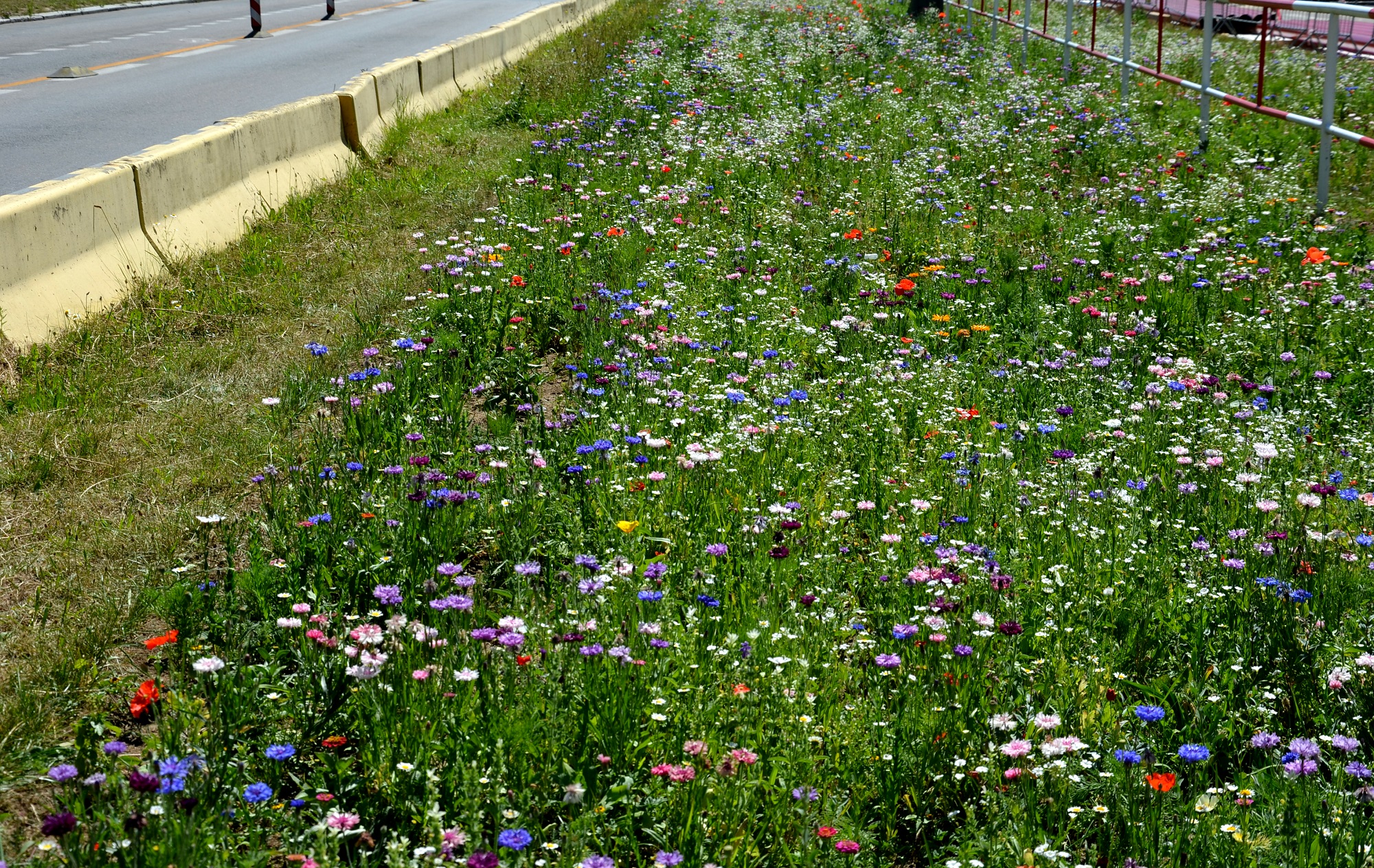 Mynatura Insektentraum 50g Mynatura Insektentraum 50g
