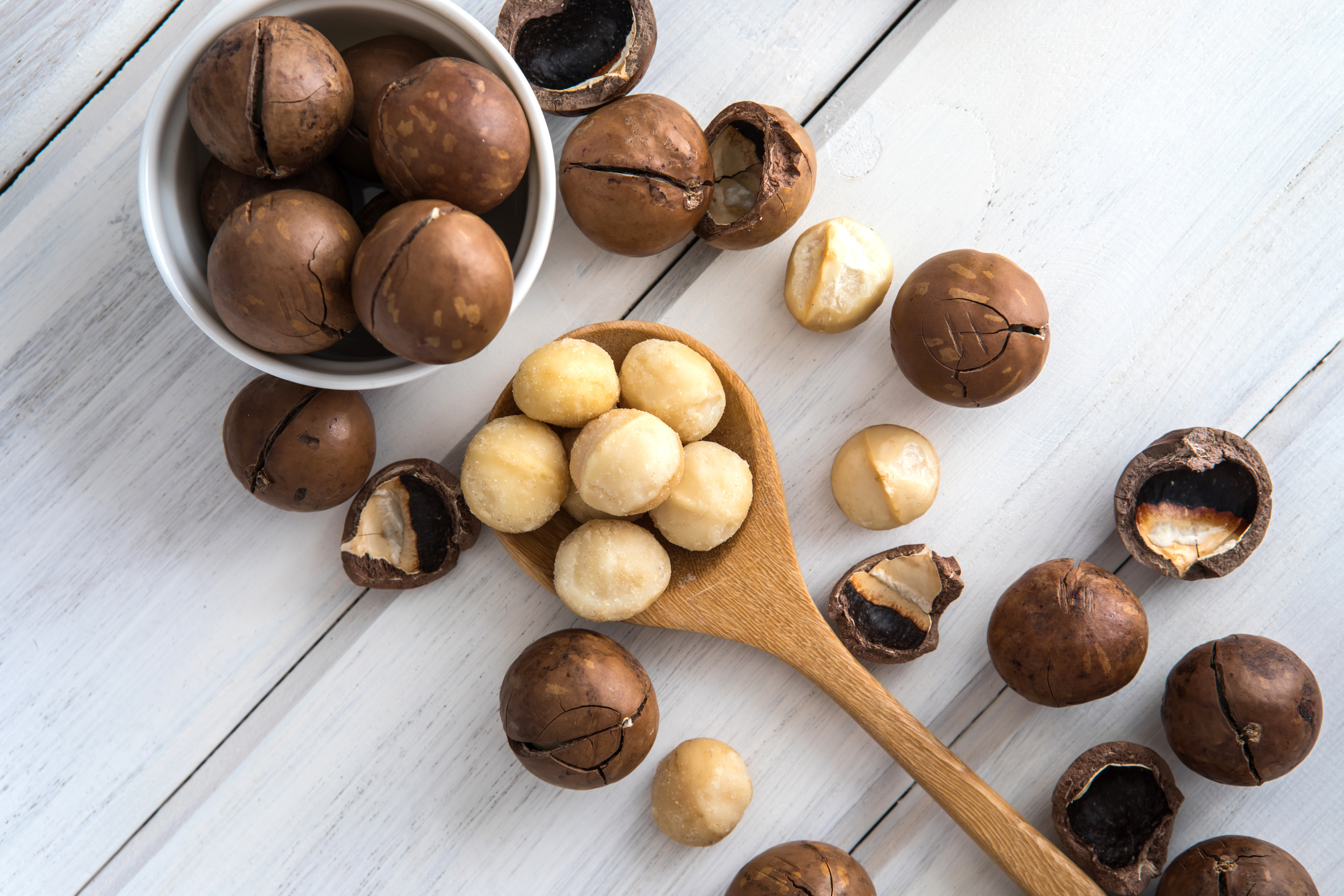 Macadamianüsse - Macadamia Nuss | 500g Tasty Pott