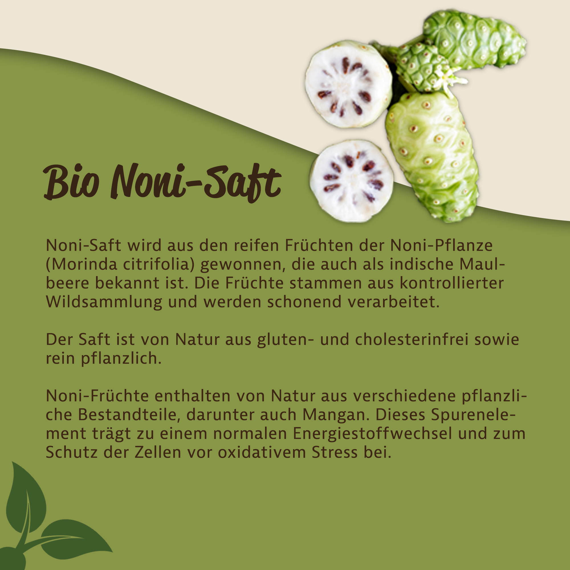 Mynatura Bio Nonisaft 1l - Noni Frucht Saft Stachelannone