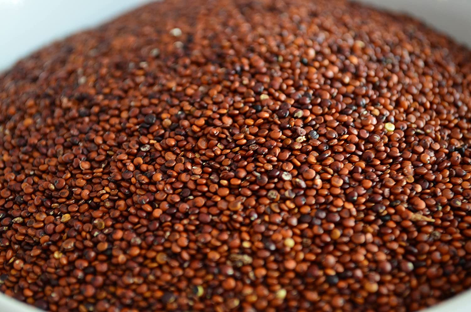 Tasty Pott Bio Quinoa Rot 2Kg