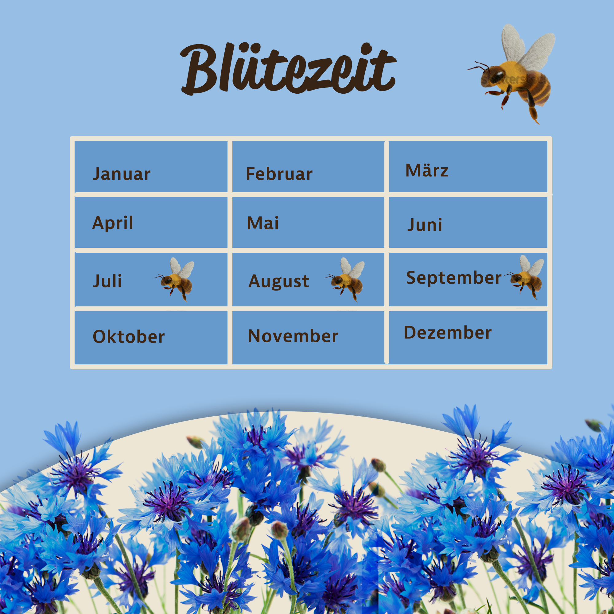 Mynatura Bio Kornblume Bio Saatgutmischung Kornblumen 4g Mynatura Bio Kornblume Bio Saatgutmischung Kornblumen 4g