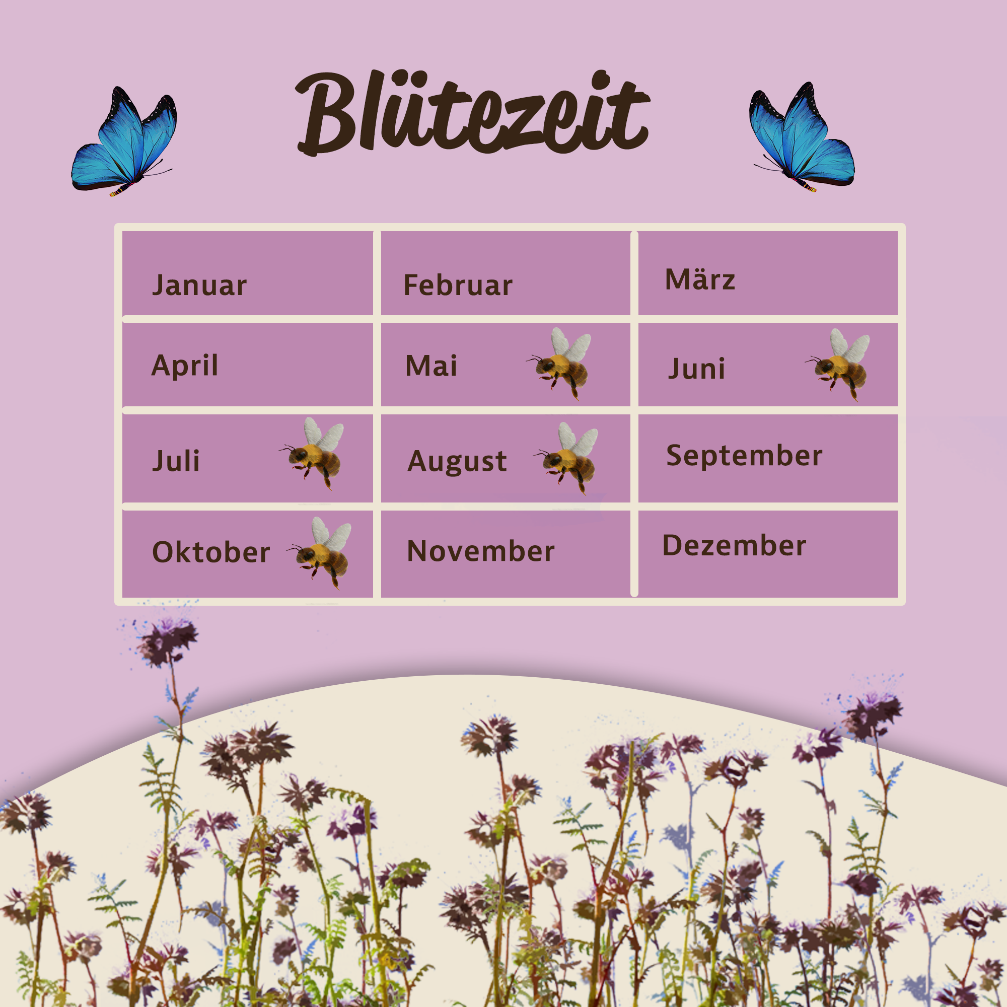 Mynatura Bio Phacelia Saatgutmischung Saatgut (4g) Mynatura Bio Phacelia Saatgutmischung Saatgut (4g)