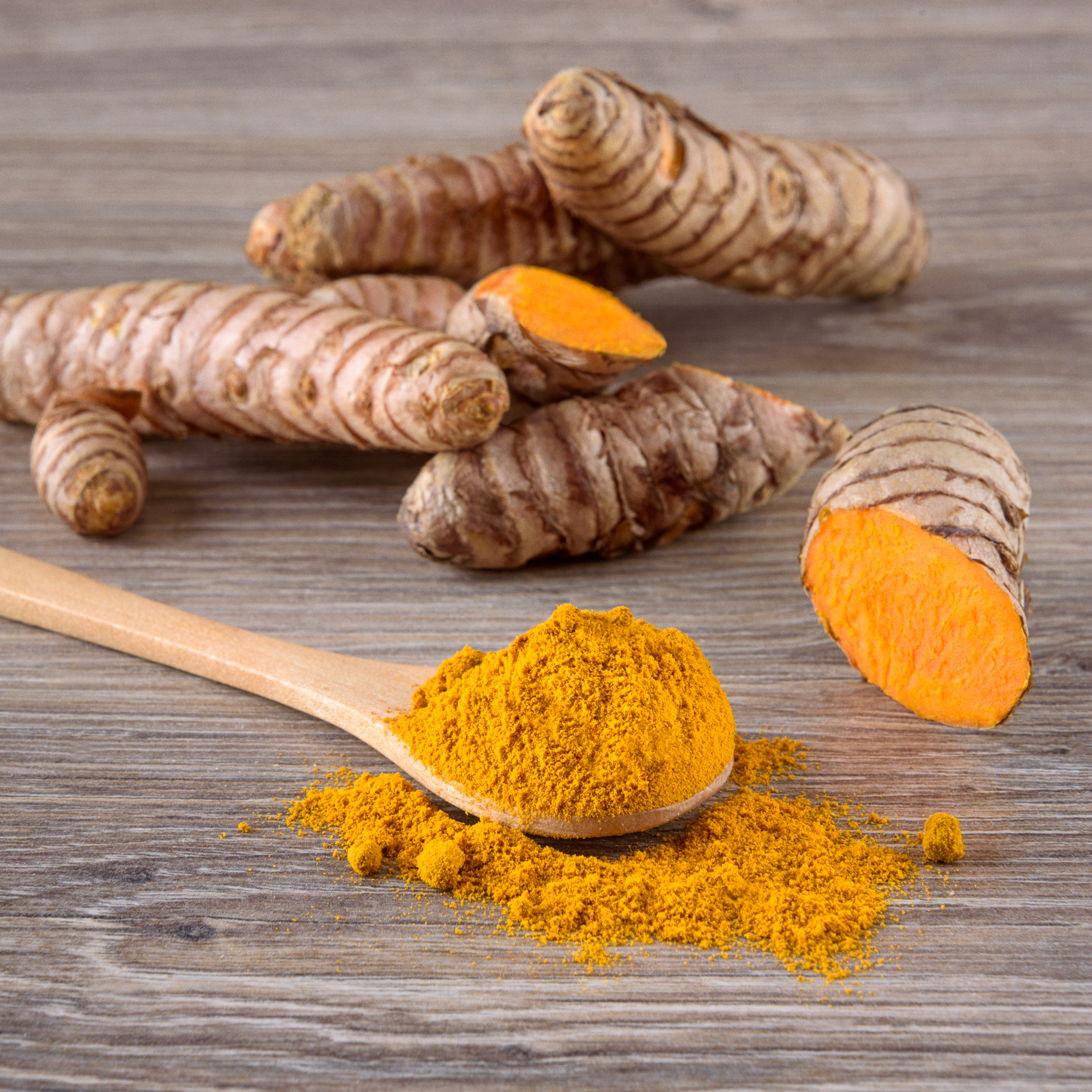 куркума приправа. куркума усимлиги. куркума пряность. куркума. куркума turmeric.